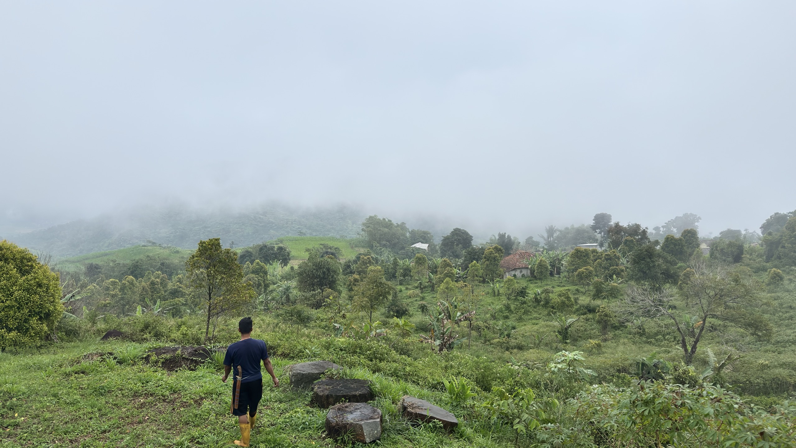 Panorama Pakuan Reserva
