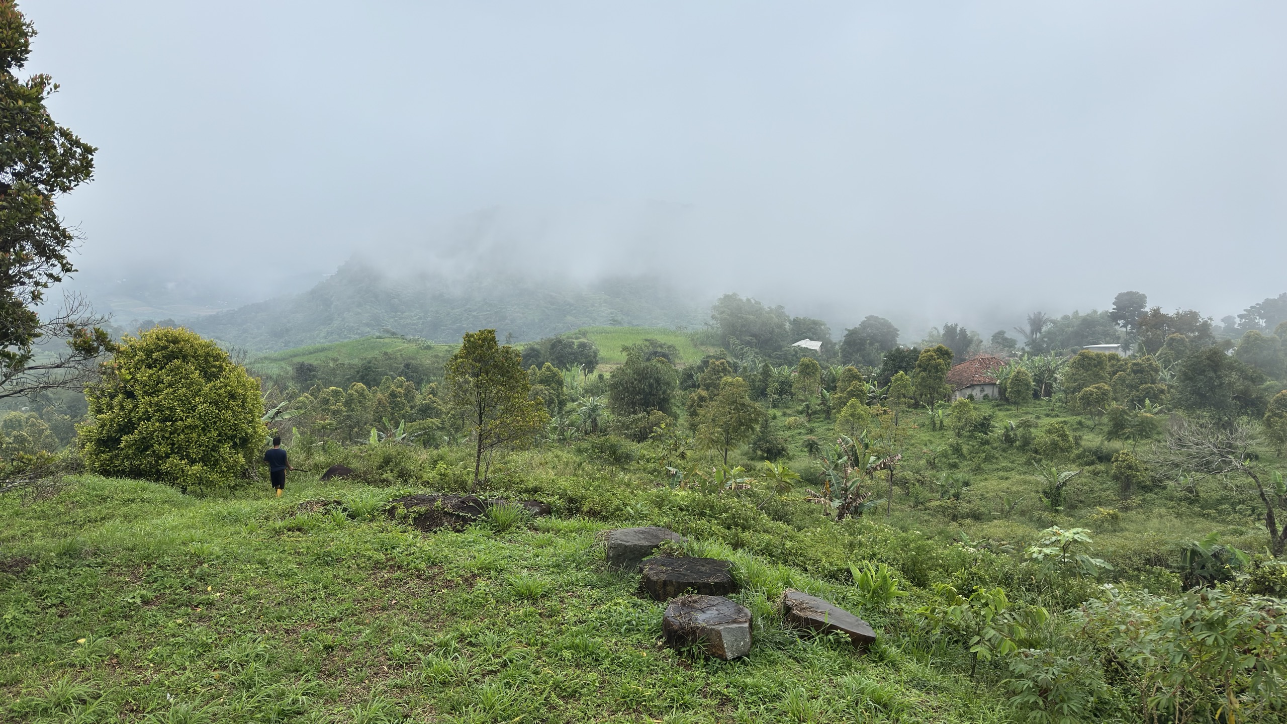 Batu kuno di Pakuan Reserva